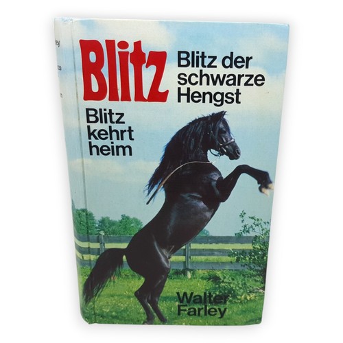 Blitz der schwarze - , hengst