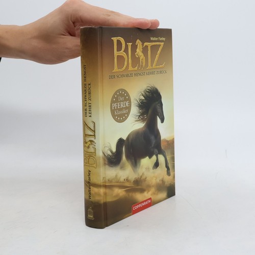 Blitz der schwarze - schwarze, hengst