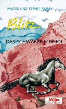 Blitz das - bd.13,,