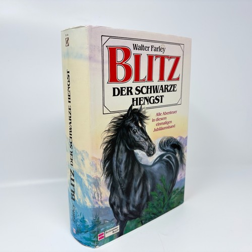 Blitz der schwarze - hengst,