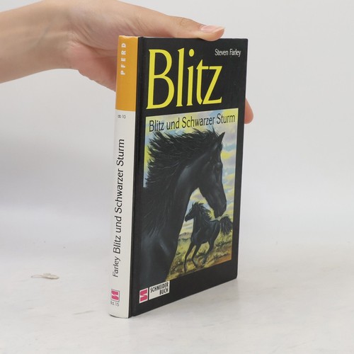 Blitz und schwarzer sturm - und,