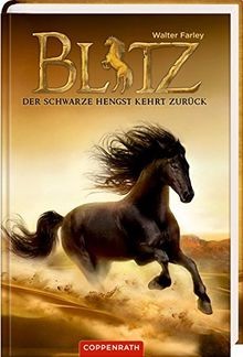 Blitz der schwarze - (bd., 2):