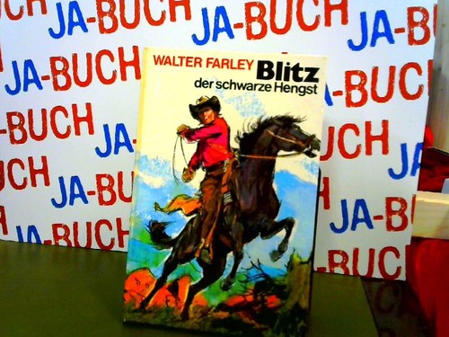 Blitz der schwarze - der,