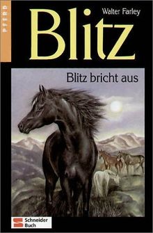 Blitz bricht aus - bricht,