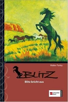 Blitz bricht - blitz,