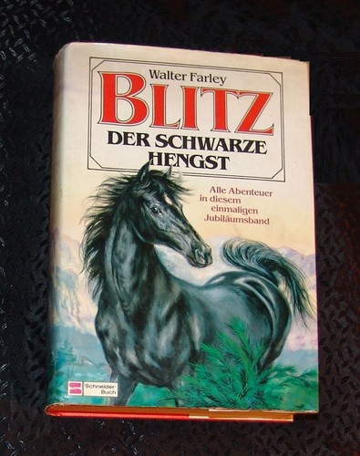 Blitz der schwarze hengst - blitz,