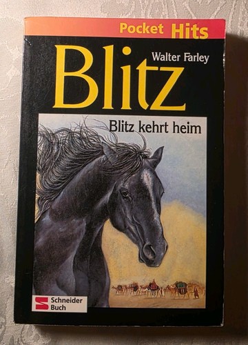 Blitz band - 2,