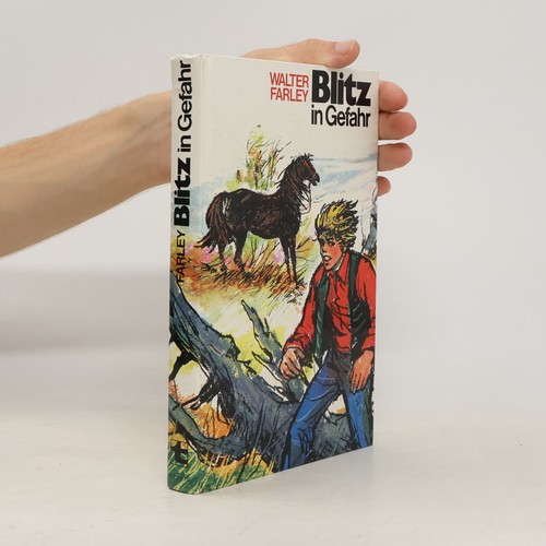 Blitz gefahr walter - in, gefahr 