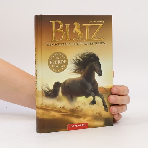 Blitz der schwarze - schwarze, hengst