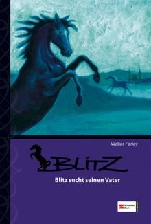 Blitz band sucht - blitz,