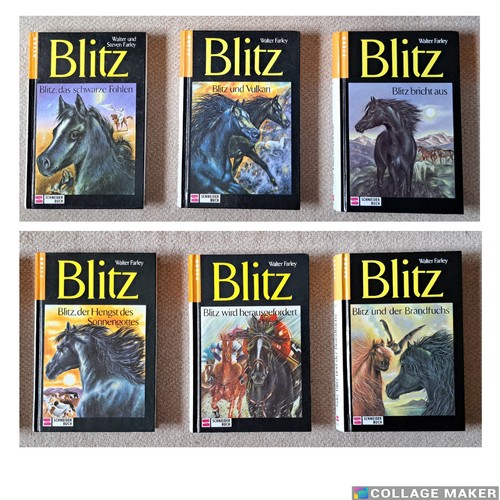 Farley blitz reihe - blitz-reihe:, bd