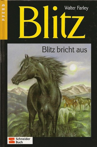 Blitz bricht aus walter - blitz,