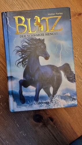 Blitz der schwarze - schwarze, hengst