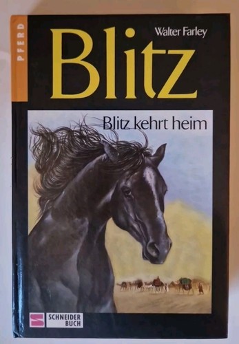 Blitz kehrt - bd.2,, heim