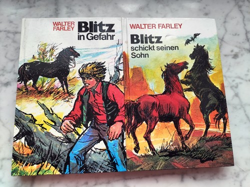 Walter farley blitz gefahr - blitz,