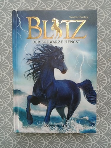 Blitz der schwarze - blitz.,