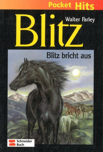 Blitz bricht aus - blitz,